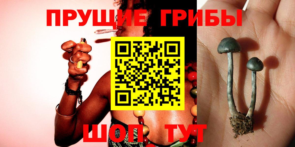 Псилоцибиновые грибы Psilocybine cubensis  Вход с VPN  Галлюциногенные грибы ЛСД  Джанкой 